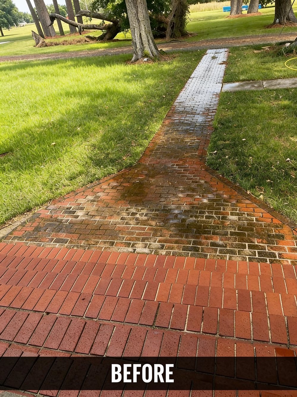 Brick walkway before pressure washing, with heavy green and black staining